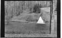 Cone in the landscape