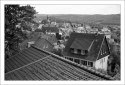 over the rooftops
