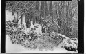 Snow lantern