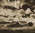 Wild Skies