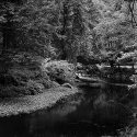 Gravelly Bend, Rock Creek, Rock Creek Park