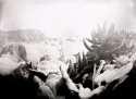 sand sea and sky