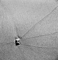 Shell.
