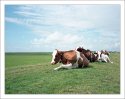 Atom Heart Mother