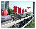 Laundry day