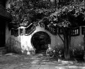 Chinese Gate