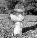 A lone hydrant in a park