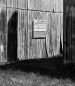 Shed Siding