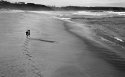 Walking the dog.