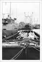 fishing vessels