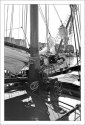 sailboats