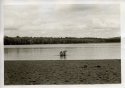 Loch Ness Monster