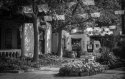 Old Town