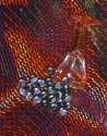 Still-Life -- Marbles