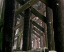 Under Tressel