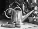 Watering Can
