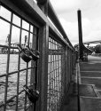 PDX Boardwalk