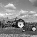 Swank Farm Pumpkin Patch