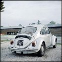 Vintage Beetle, Florence Biennale