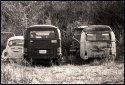 Photos taken on December 25, 2005.  VW Buses out to pasteur???