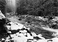North Fork Skokomish River