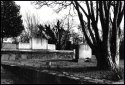 The Graves Of WEBB and MORRIS