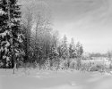 After the Snow