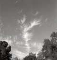 Sky Walk #3