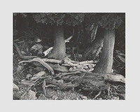 Green Bay coast, Door County Wisconsin