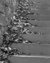 Concrete Stairs