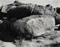 Landers, California 2006 #3-- CfEVA #2