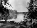 Roadside Lake