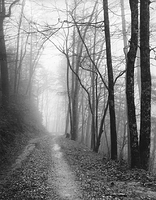 Dick Creek Road print