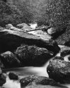 Unnamed cascade on Dick creek