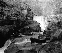 First print. Any advice appreciated.