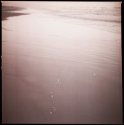 Shore Abstract 3