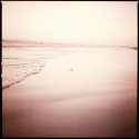 Shore Abstract 6