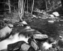 Spring brook
