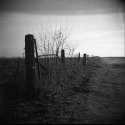 Fence Line Holga Image