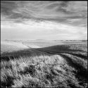 Konza Prairie