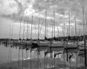 Before the Storm