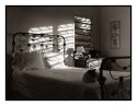 Spot on the Bed