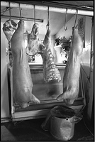 Butcher shop at Tlacotepec