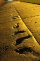 City Sidewalk
