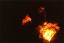 Campfire