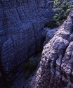 From the Grampians trip, Jan. '06
