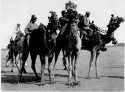 Local Transportation