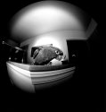 180 Degrees of Mickey