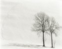 Family on the snow
