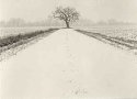 Snow covered road